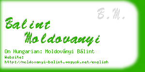 balint moldovanyi business card