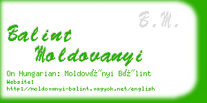 balint moldovanyi business card